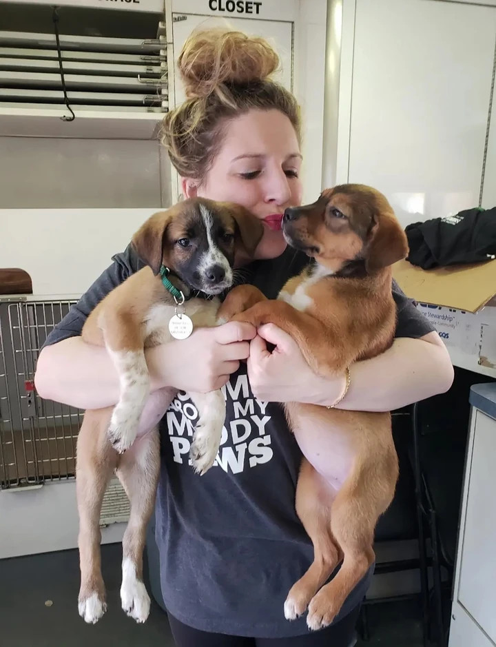 Chán ngấy hẹn hò online, nhiều phụ nữ ‘thà dắt chó đi dạo còn hơn yêu đương’插图 Lauren Wire đã chán ngấy các ứng dụng hẹn hò, cô ấy thích ôm chó hơn.