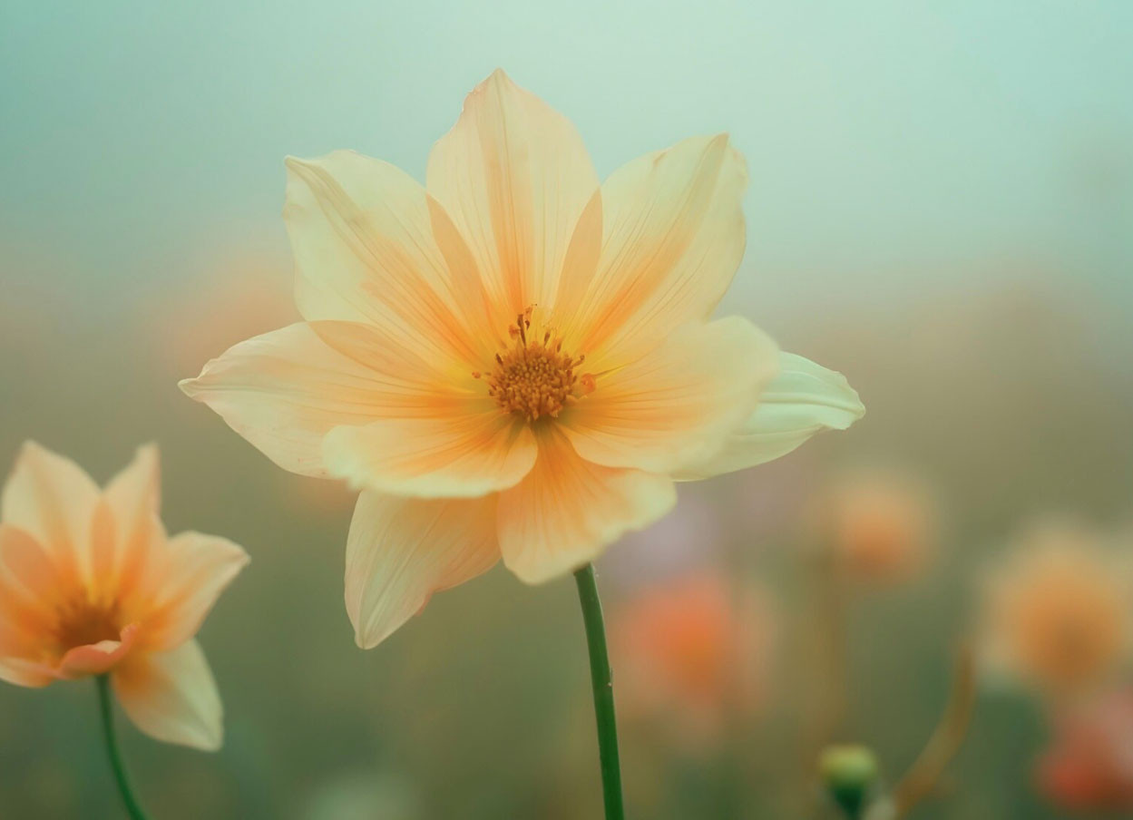 Nhìn số cuối ngày sinh Âm lịch, nhiều người bất ngờ về vận mệnh tuổi già - Ảnh 3.