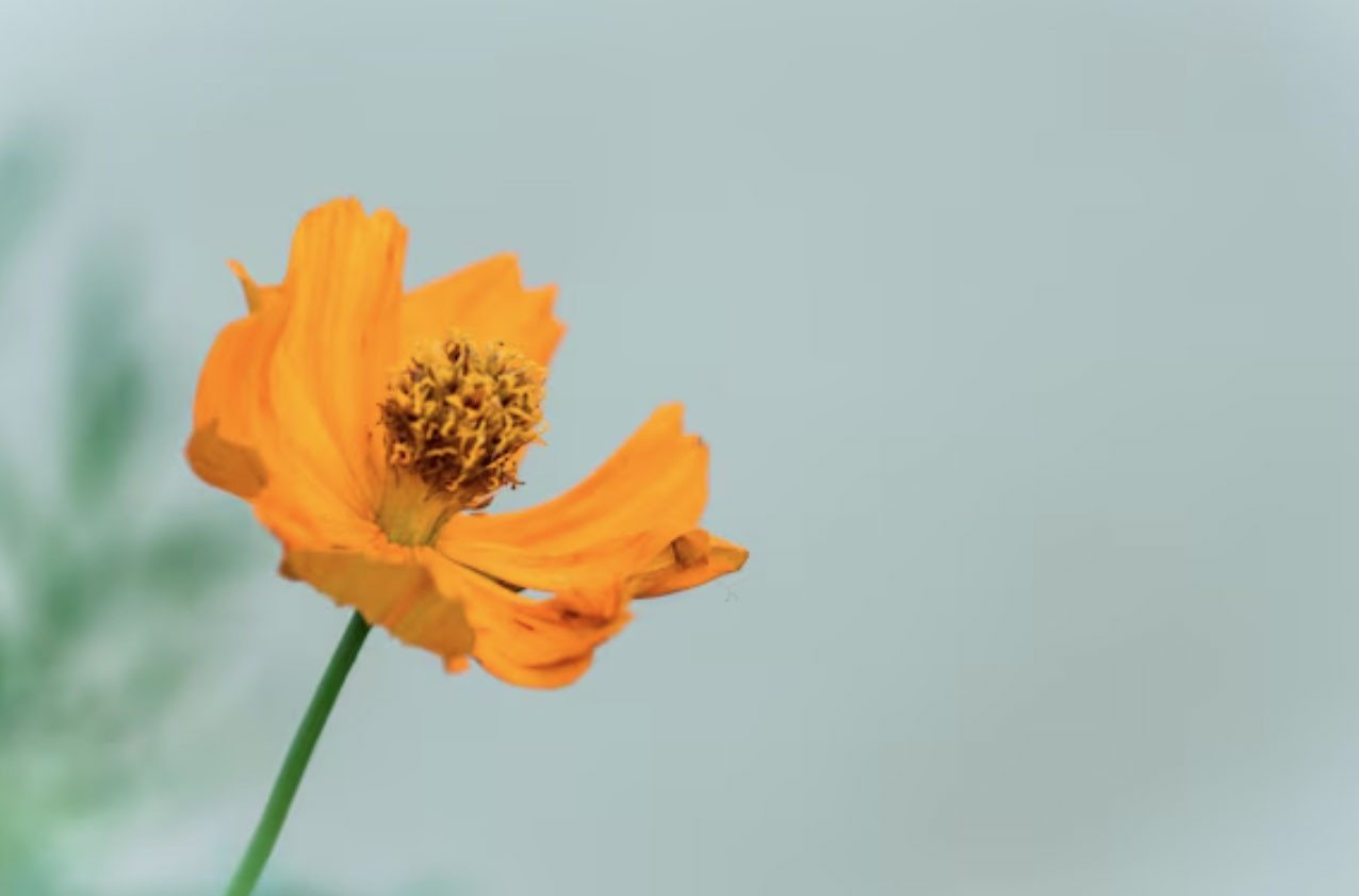 Nhìn số cuối ngày sinh Âm lịch, nhiều người bất ngờ về vận mệnh tuổi già - Ảnh 4.