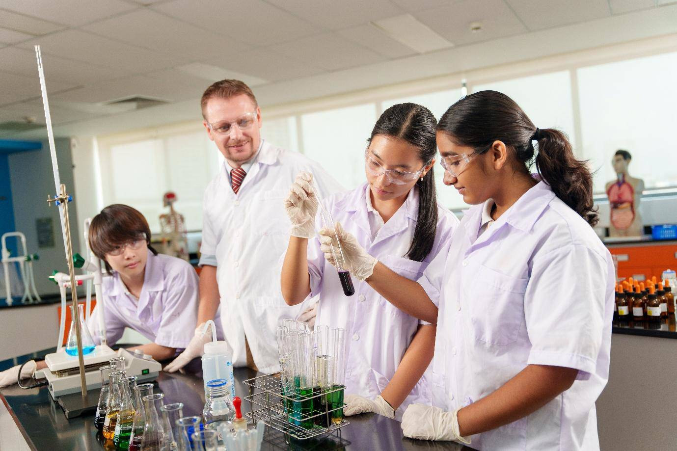 Trường Quốc tế Châu Âu TP.HCM chính thức đạt kiểm định quốc tế WASC - 2