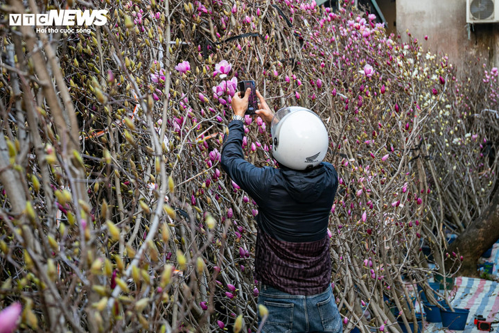 Đào, quất xuống phố, tiểu thương 'hốt bạc' ngay đầu vụ Tết - 19