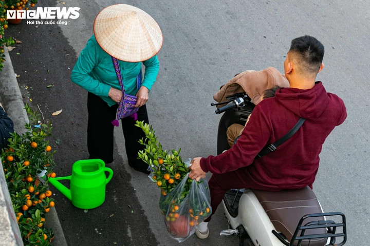 Đào, quất xuống phố, tiểu thương 'hốt bạc' ngay đầu vụ Tết - 15