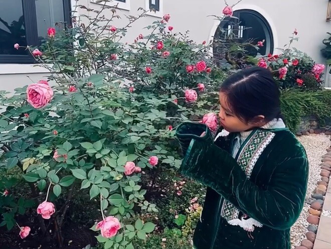 MC Diễm Quỳnh có khu vườn mùa đông đầy sắc màu tuyệt đẹp - Ảnh 12.