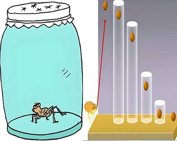 7 quy luật thay đổi cuộc đời: Vì sao 90% mọi người bỏ cuộc ngay trước ngưỡng cửa thành công? - Ảnh 6.