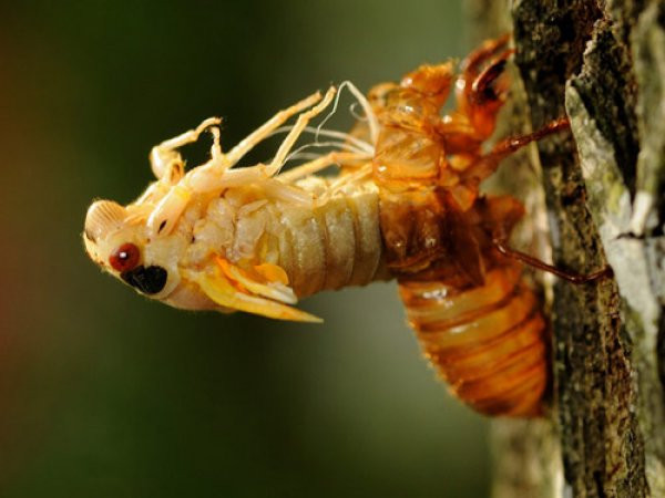 7 quy luật thay đổi cuộc đời: Vì sao 90% mọi người bỏ cuộc ngay trước ngưỡng cửa thành công? - Ảnh 8.