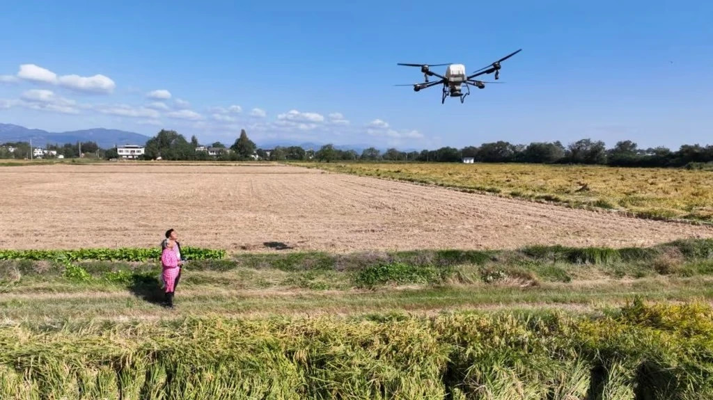 'Bà cụ siêu ngầu' U90 nổi tiếng nhờ lái drone bón phân và bán nông sản online插图2 Nhờ tích lũy kinh nghiệm thực tế, bà Dai thành thạo thực hiện điều khiển máy bay không người lái. (Ảnh: Tân Hoa Xã)