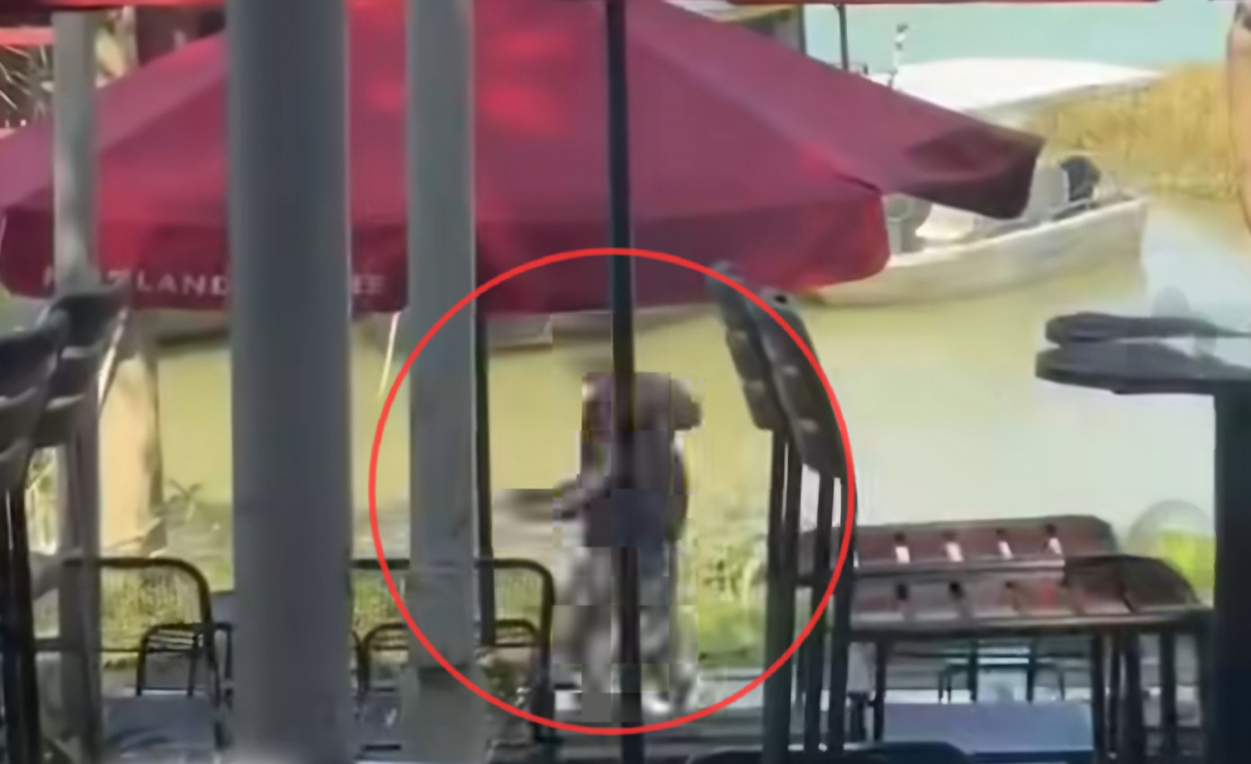 Bắt khẩn cấp đối tượng cầm rựa rượt chém người trước quán cà phê ở Huế插图 chem-nguoi-quan-ca-phe-1.jpg