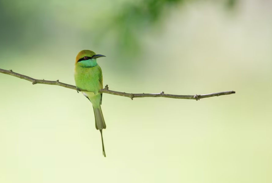 Sinh đúng khung giờ vượng công danh: Sếp trọng dụng, dễ lên chức - Ảnh 2.