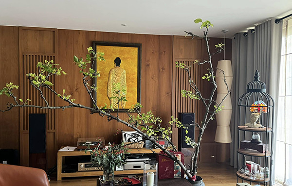 Thanh Thảo về Việt Nam dự tiệc ở biệt thự 400m2 của Quang Dũng插图7 Thanh Thảo về Việt Nam dự tiệc ở biệt thự 400m2 của Quang Dũng插图7