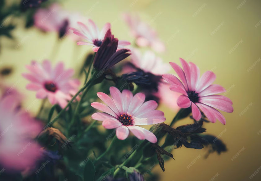 Ngày sinh Âm lịch của người có phúc lớn: Tiền bạc vượng phát, Thần Tài thường xuyên ghé thăm - Ảnh 2.