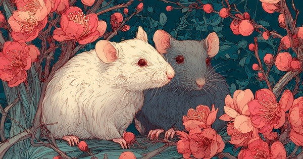 Không có khái niệm yêu thầm: 4 con giáp đã thích là hành động ngay - Ảnh 1.