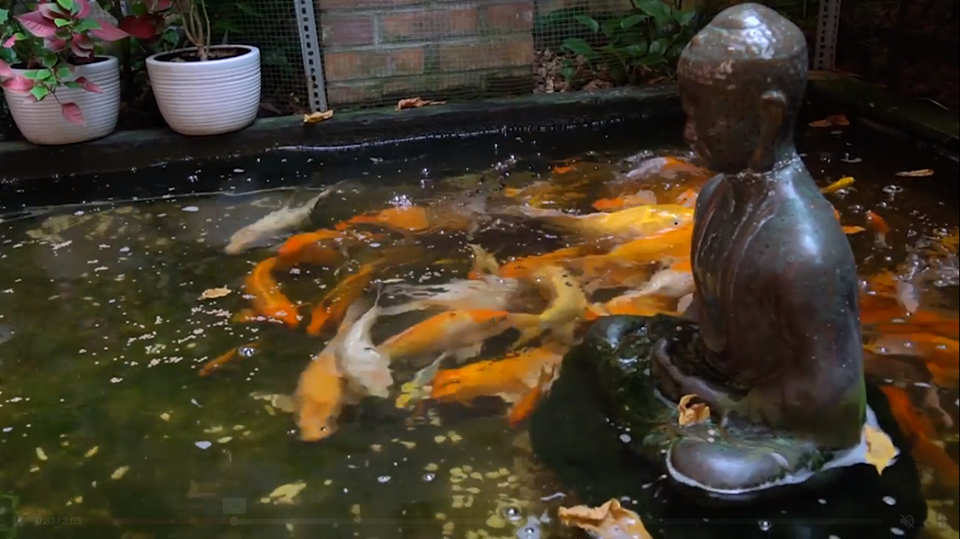 Quang Dũng mở tiệc ấm cúng tại biệt thự 400 m2 ở TP HCM - Ảnh 28.