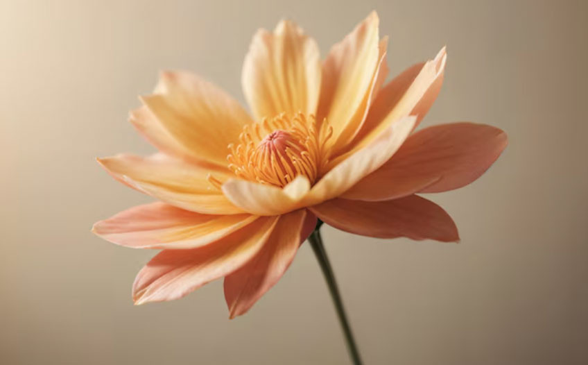 Số cuối ngày sinh Âm lịch nói gì về con đường tài lộc của bạn? - Ảnh 2.