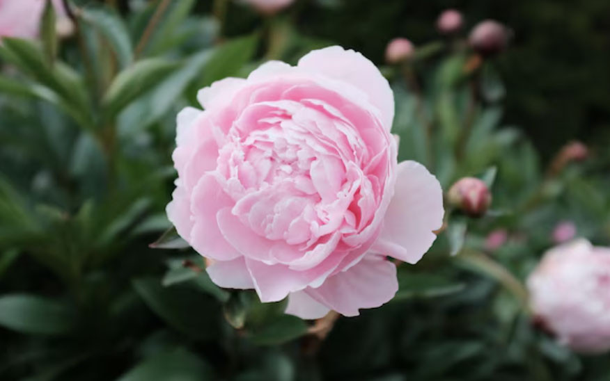 Số cuối ngày sinh Âm lịch nói gì về con đường tài lộc của bạn? - Ảnh 1.