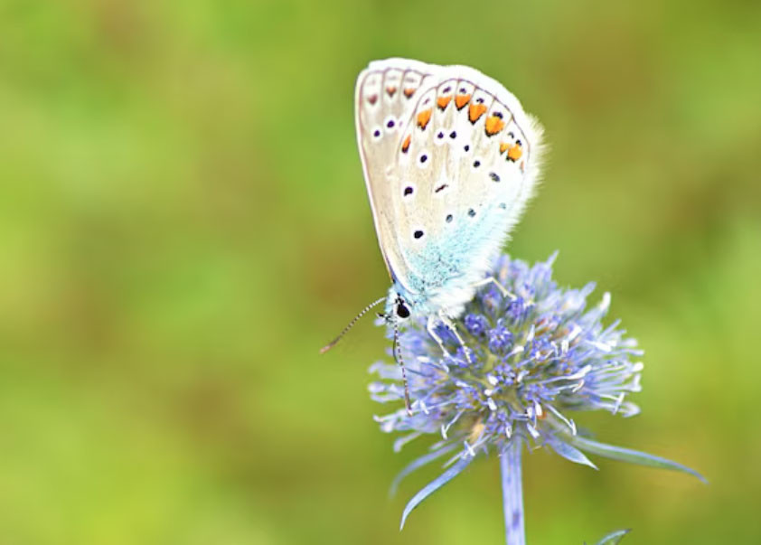 Tử vi tiết lộ 5 khung giờ sinh được coi là 'mệnh có của' - Ảnh 2.