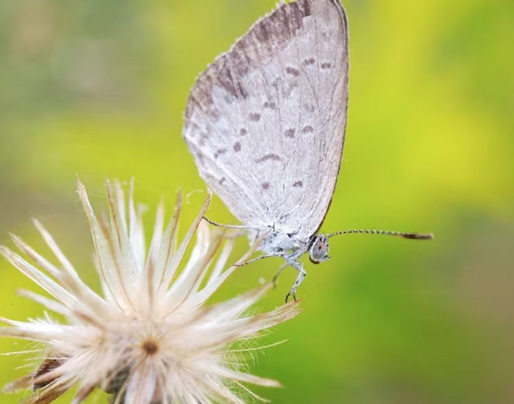 Tử vi tiết lộ 5 khung giờ sinh được coi là 'mệnh có của' - Ảnh 5.