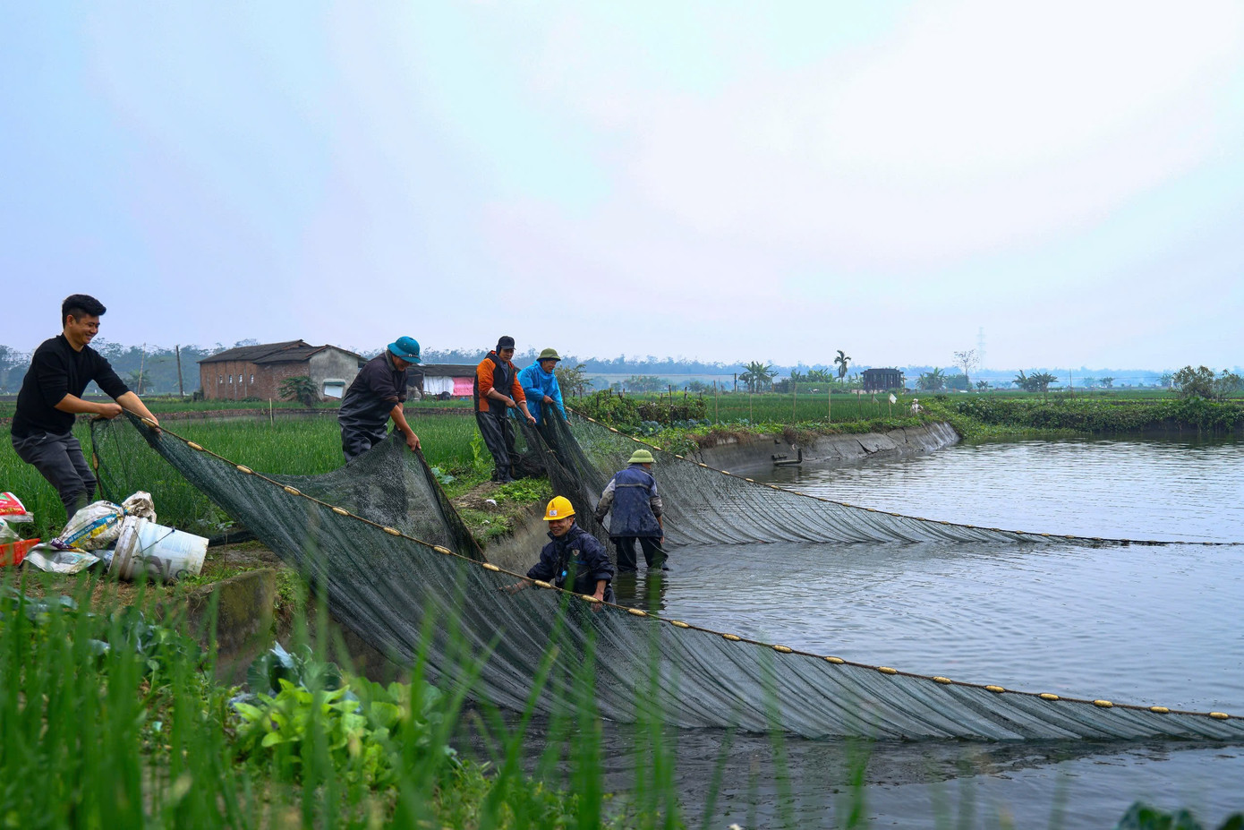 Nhộn nhịp thủ phủ cá chép đỏ cúng Tết ông Công, ông Táo插图2 z7431053220679-a653c771e1dc80a049056253feea1bc6.jpg
