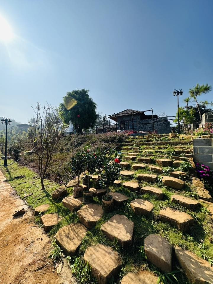 Việt Hương tặng quà siêu to cho Hoàng Mập , biệt thự 10 . 000 M2 tuyệt đẹp - Ảnh 8.