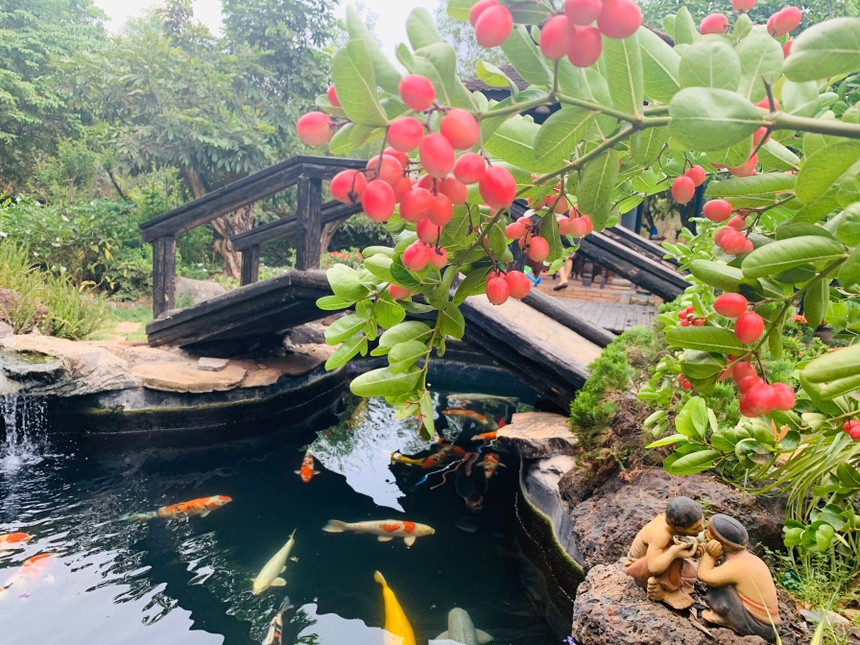 Việt Hương tặng quà siêu to cho Hoàng Mập , biệt thự 10 . 000 M2 tuyệt đẹp - Ảnh 18.