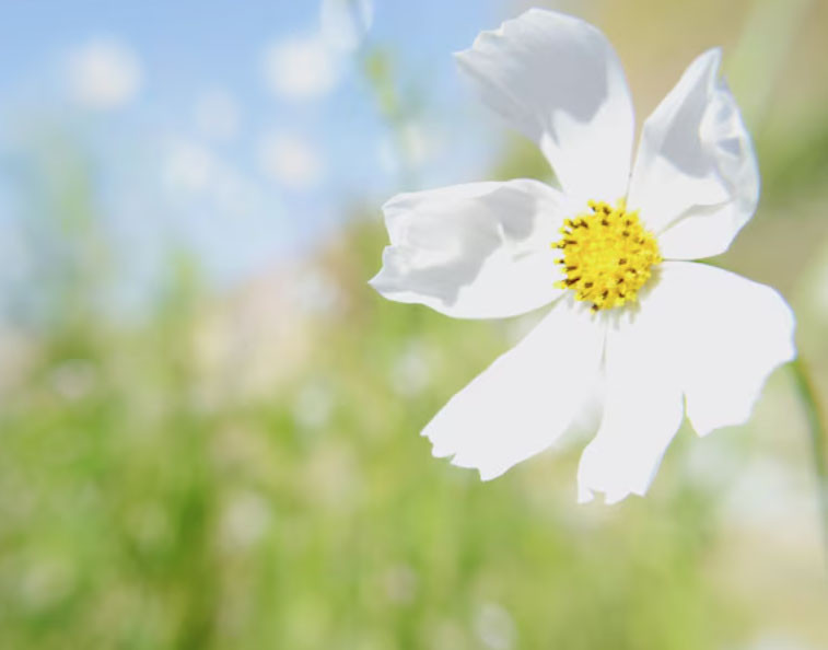 Sinh vào các ngày Âm lịch này thường có tư duy sắc bén, sự nghiệp khó ai bì kịp - Ảnh 2.