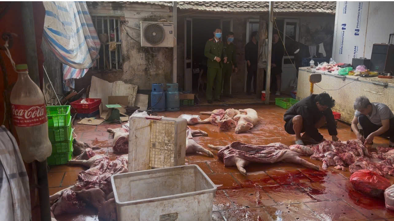 Thu mua, giết mổ lợn mắc bệnh tả lợn Châu Phi, 6 đối tượng tại Hưng Yên bị khởi tố - Ảnh 2.