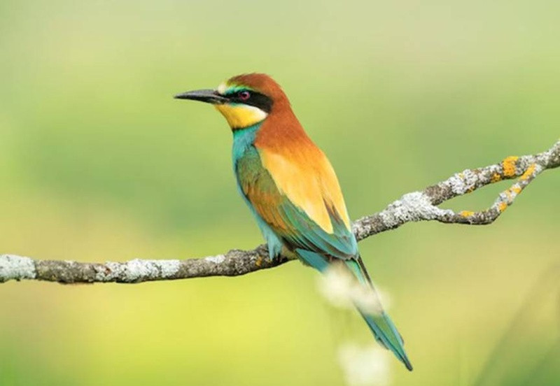 Tử vi tiết lộ: Người sinh các tháng Âm lịch này thường thông minh, sống tích cực nên dễ dễ thăng tiến插图3 image004 004.jpg