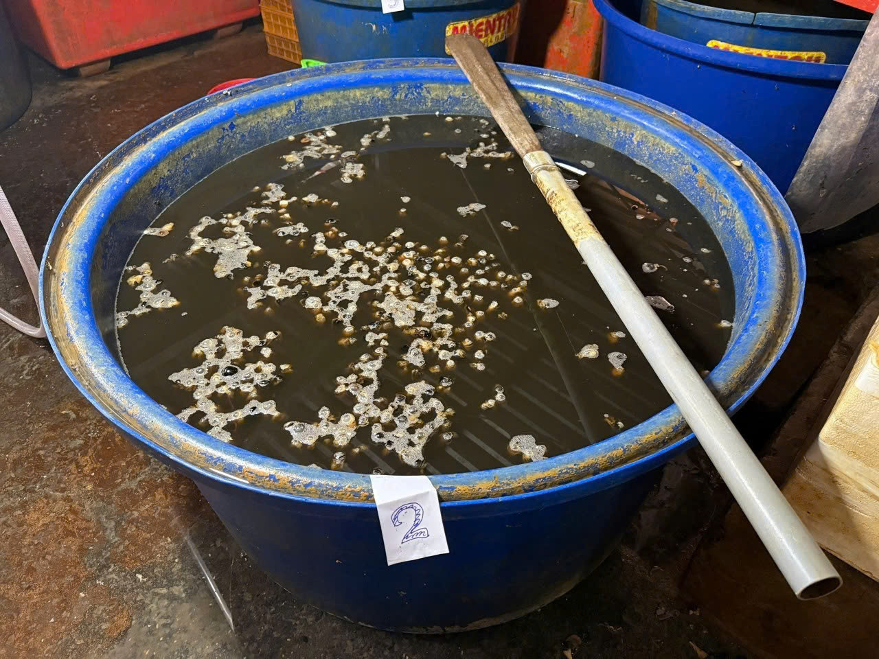 Công an TPHCM công bố hình ảnh bên trong cơ sở ngâm ốc bươu bằng hoá chất插图7 Công an TPHCM công bố hình ảnh bên trong cơ sở ngâm ốc bươu bằng hoá chất - Ảnh 8.