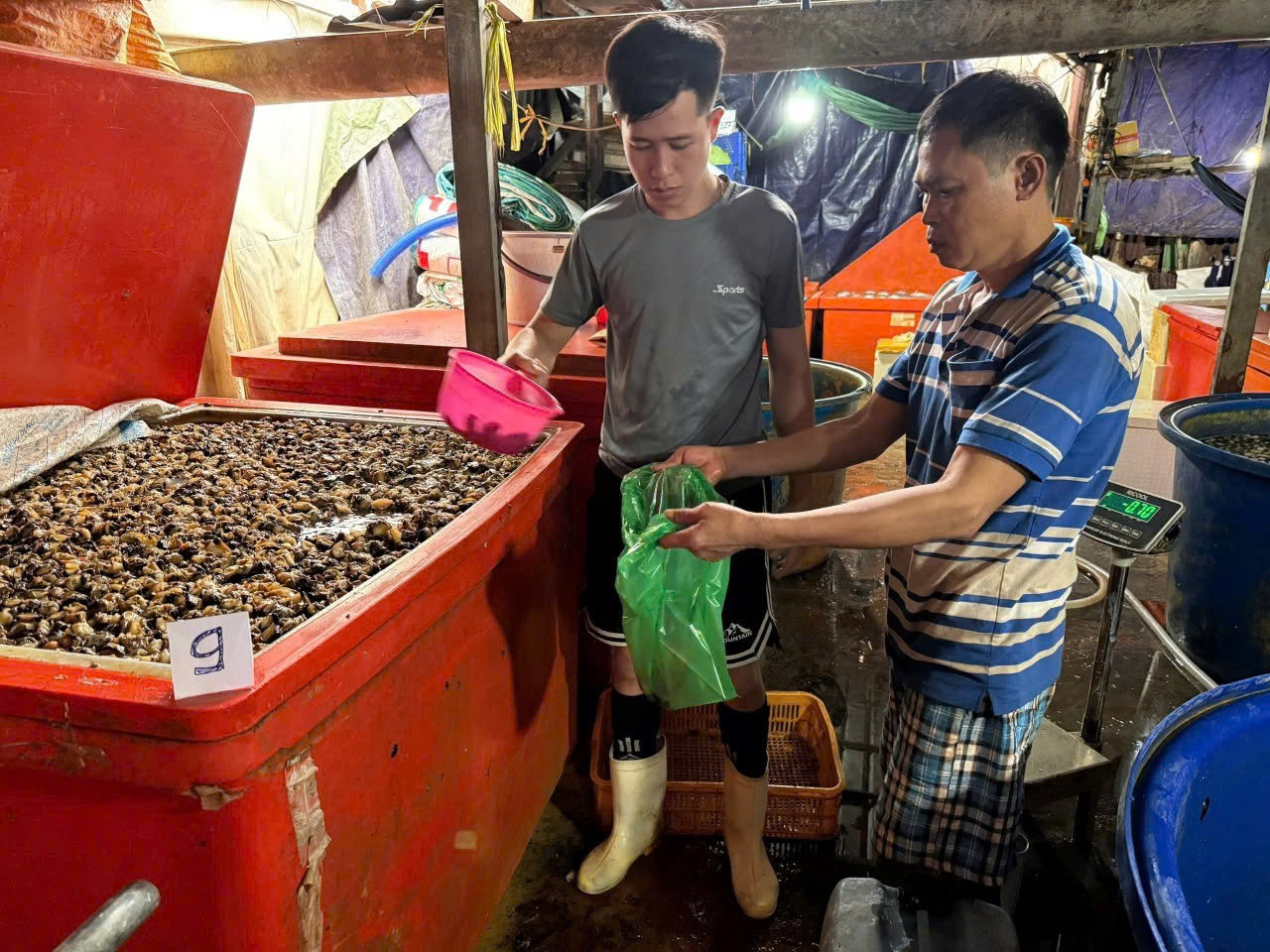 Công an TPHCM công bố hình ảnh bên trong cơ sở ngâm ốc bươu bằng hoá chất插图1 Công an TPHCM công bố hình ảnh bên trong cơ sở ngâm ốc bươu bằng hoá chất - Ảnh 2.