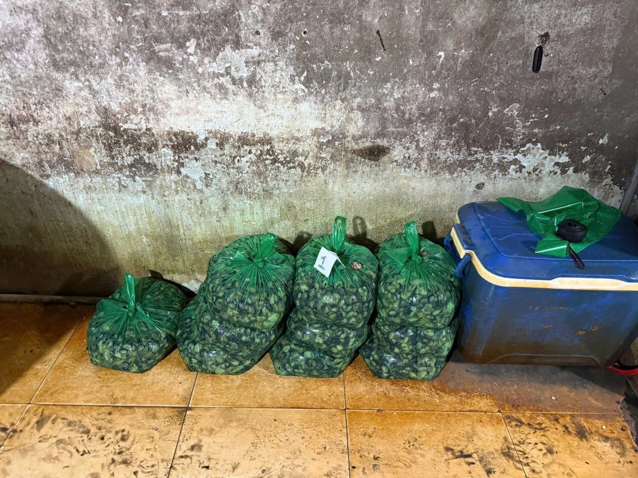 Công an TPHCM công bố hình ảnh bên trong cơ sở ngâm ốc bươu bằng hoá chất插图4 Công an TPHCM công bố hình ảnh bên trong cơ sở ngâm ốc bươu bằng hoá chất - Ảnh 5.