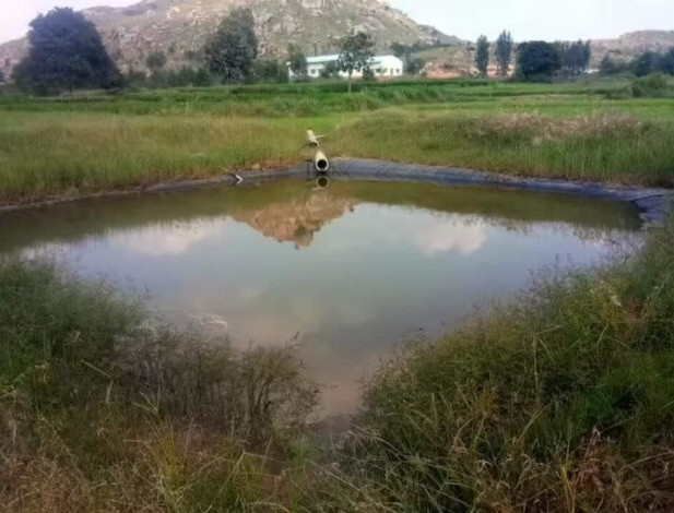 Chơi đùa trên cánh đồng, 3 đứa trẻ tử vong thương tâm - Ảnh 1.