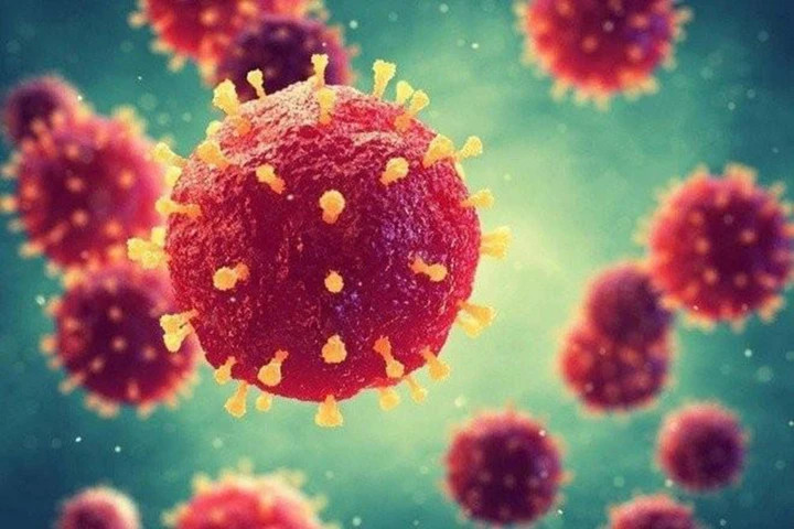 Dấu hiệu mắc virus Nipah khó nhận biết.