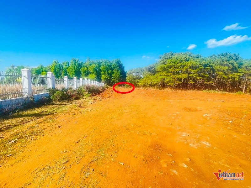 W-Điều chưa biết 3.jpg