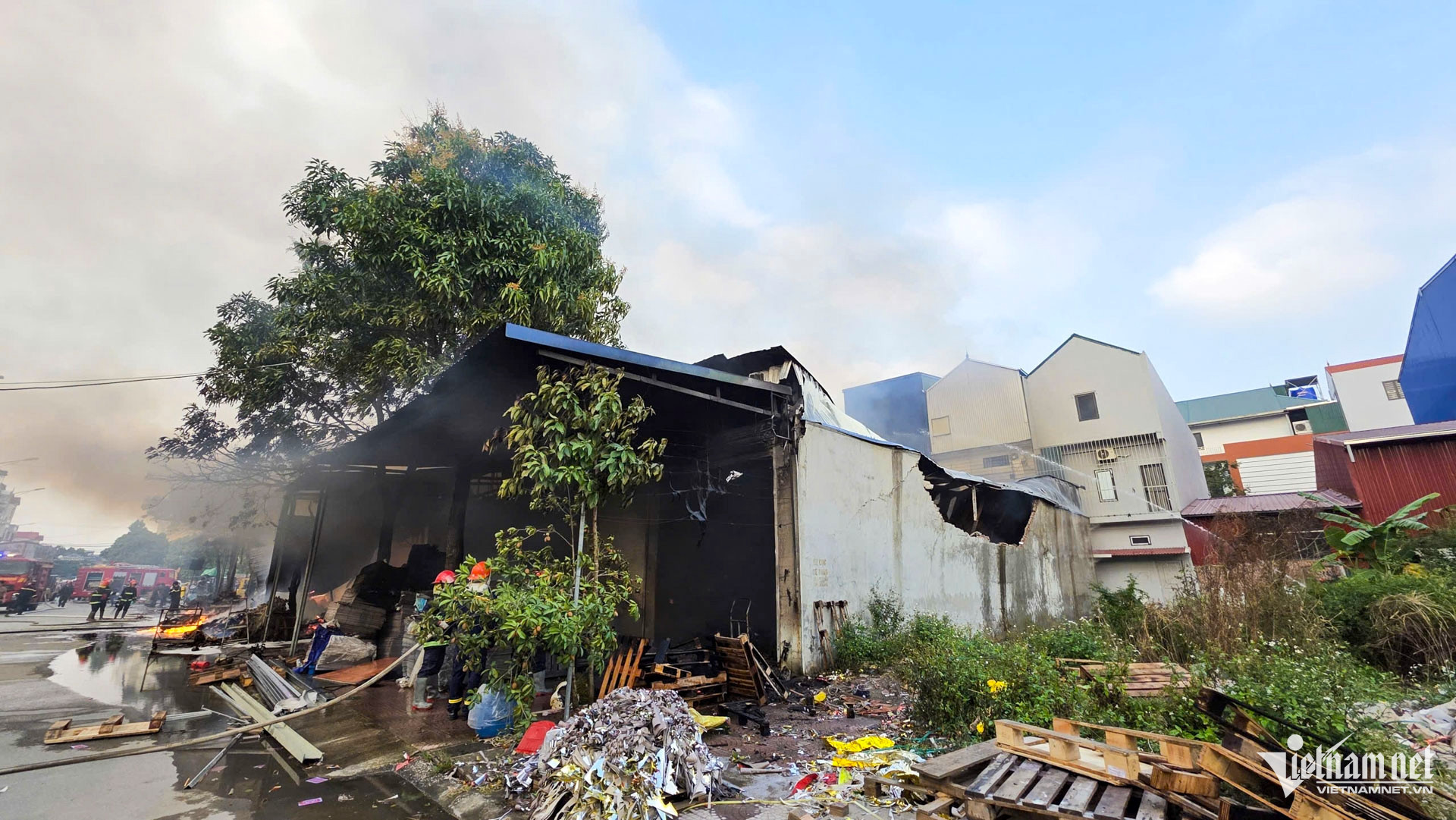 W-làng đào bắc ninh_9.JPG.jpg