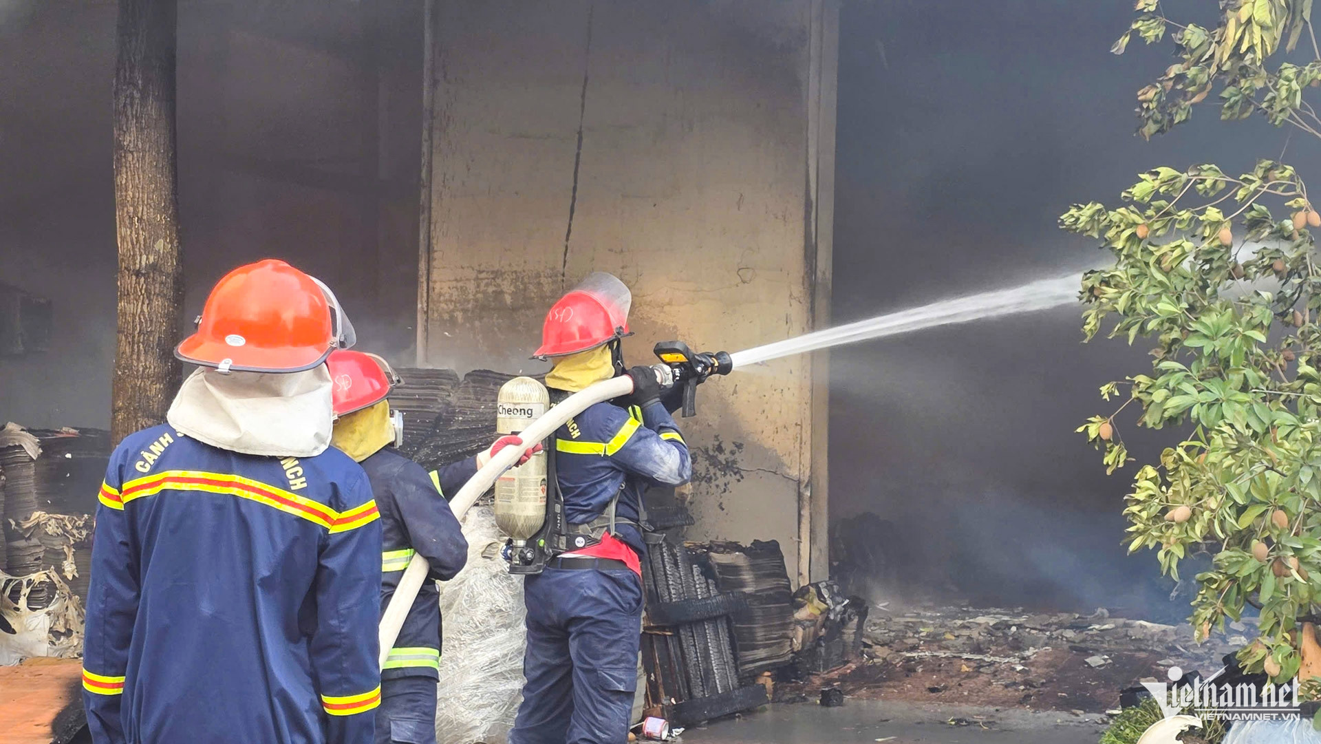 W-làng đào bắc ninh_7.JPG.jpg