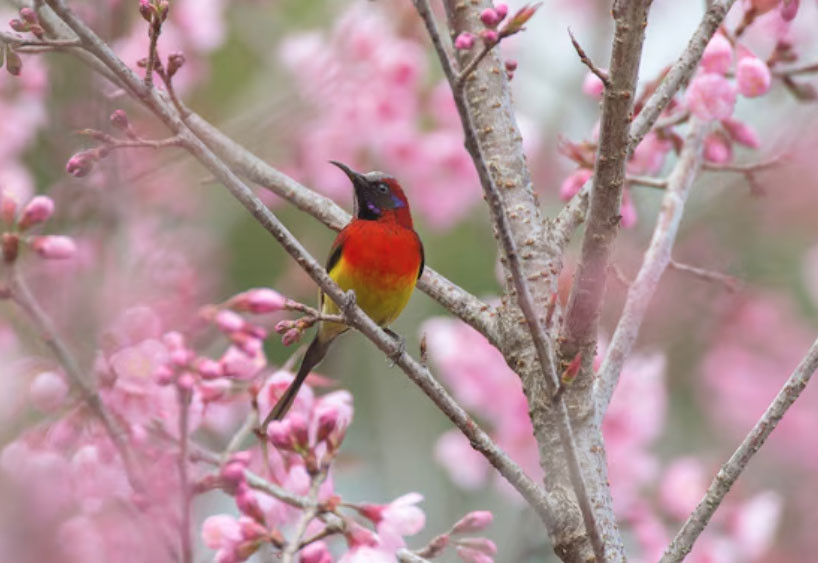 Bí mật số cuối ngày sinh Âm lịch: 4 con số được cho là hút tài lộc mạnh nhất - Ảnh 3.