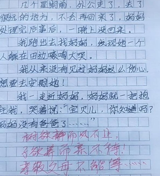 Bài văn 'không còn bố nữa' của cậu bé lớp 2 khiến hàng triệu người bật khóc - Ảnh 1.