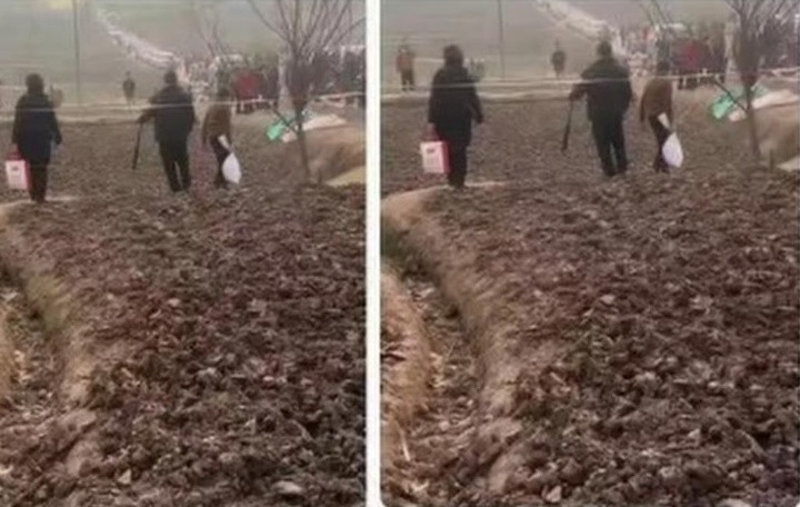 ‘Cơn cuồng hot girl mổ lợn Tết’ và biến tướng mua bán ‘đất may mắn’ ở Trung Quốc插图1 Đám đông người dân đã đến lấy đất từ khu đất bên ngoài nhà của Daidai. (Ảnh: Myzaker)