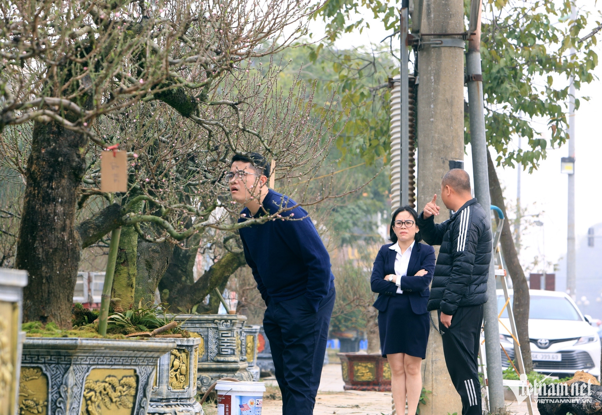 Thuê đào cổ chơi Tết nở rộ ở Thanh Hóa, có cây giá tới 150 triệu đồng插图 dao co 1.jpg