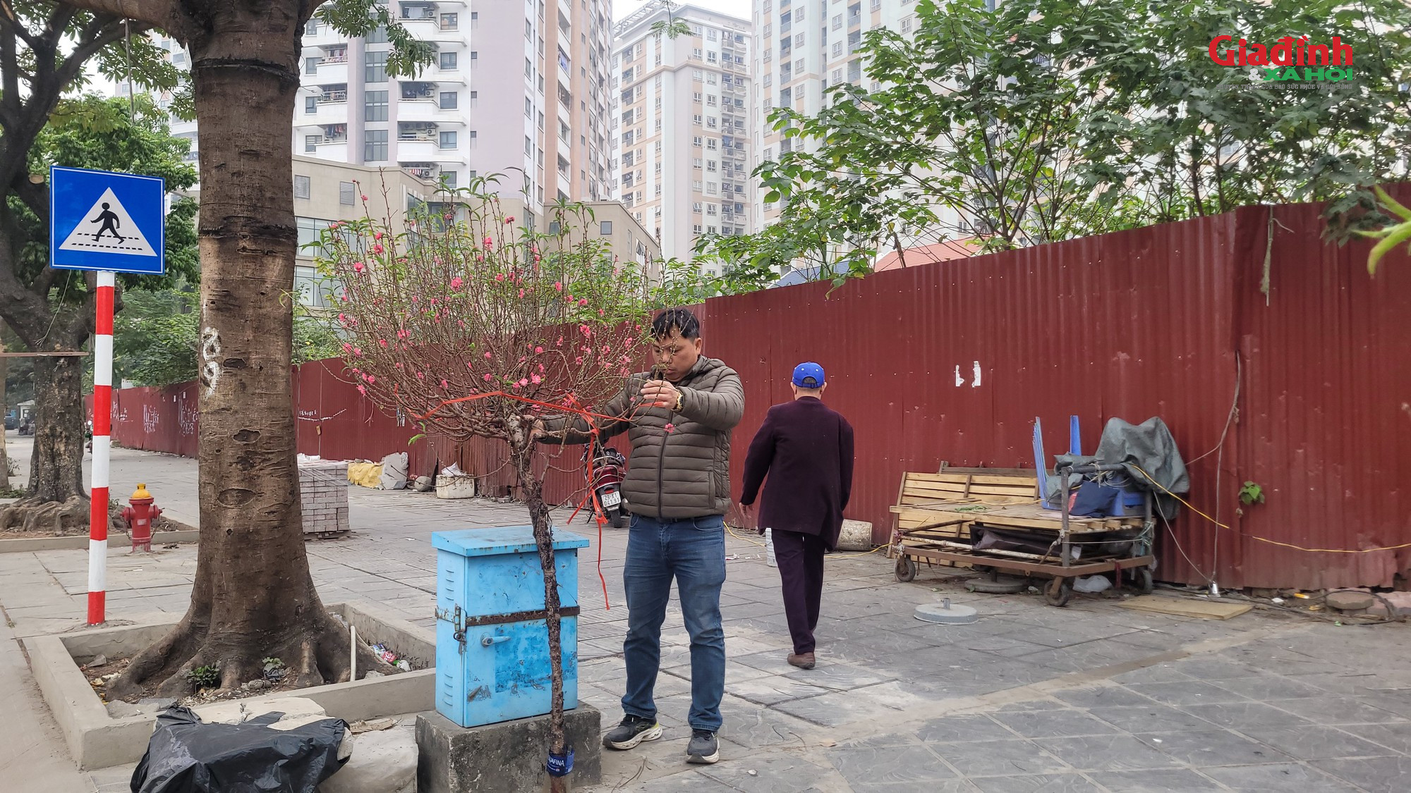 Giá cả đào rừng và đào Nhật tân tại Hà Nội cận Tết 2026Đào rừng 'xuống phố' Thủ đô ngày cận Tết, giá bán đắt đỏ, khởi điểm từ 120.000 đồng/cành - Ảnh 9.