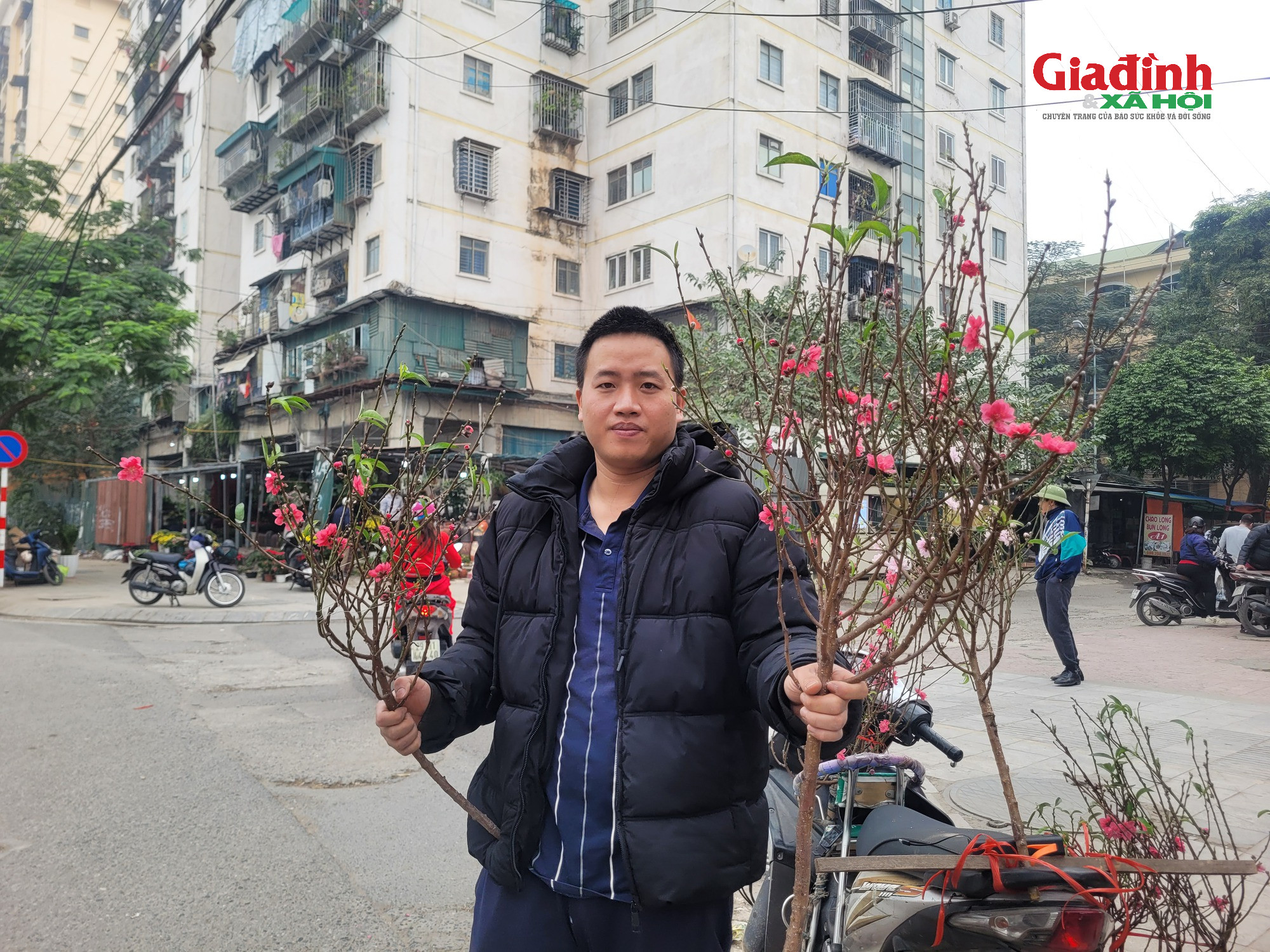 Giá cả đào rừng và đào Nhật tân tại Hà Nội cận Tết 2026Đào rừng 'xuống phố' Thủ đô ngày cận Tết, giá bán đắt đỏ, khởi điểm từ 120.000 đồng/cành - Ảnh 10.