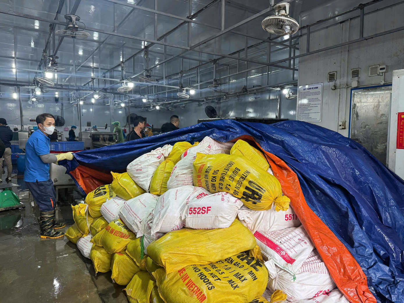 Hà Nội: Thu giữ hơn 60 tấn lòng lợn không rõ nguồn gốc tại kho đông lạnh插图3 1-so-hang-dong-lanh-chuan-bi-duoc-dua-vao-so-che.jpg