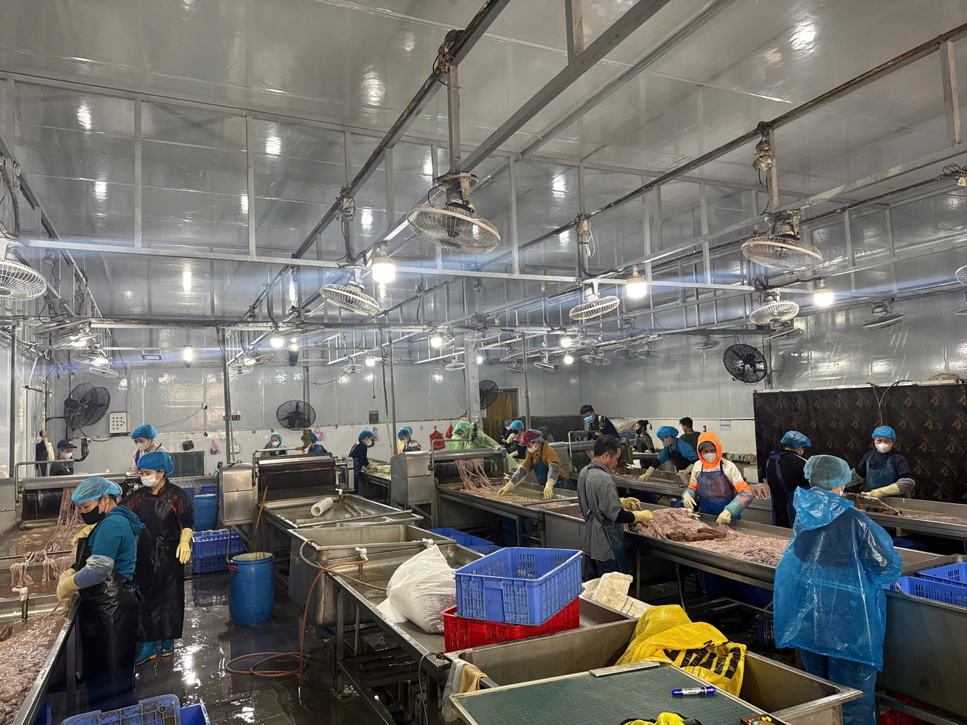 Hà Nội: Thu giữ hơn 60 tấn lòng lợn không rõ nguồn gốc tại kho đông lạnh插图2 6-toan-canh-khu-vuc-so-che.jpg