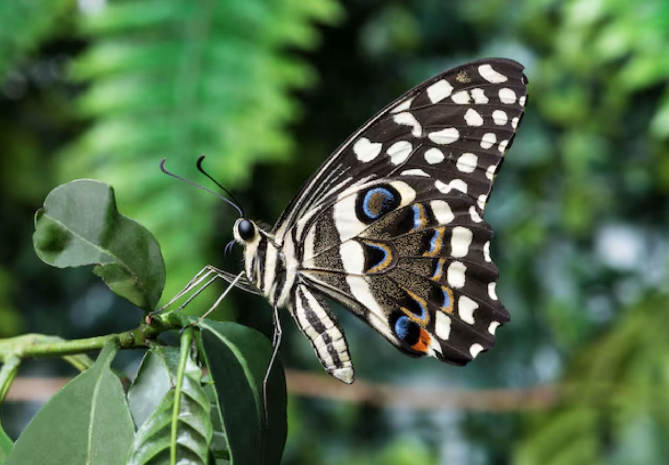 Sinh 3 tháng Âm lịch này, khó khăn mấy cũng có người kéo lên插图 Sinh 3 tháng Âm lịch này, khó khăn mấy cũng có người kéo lên - Ảnh 1.