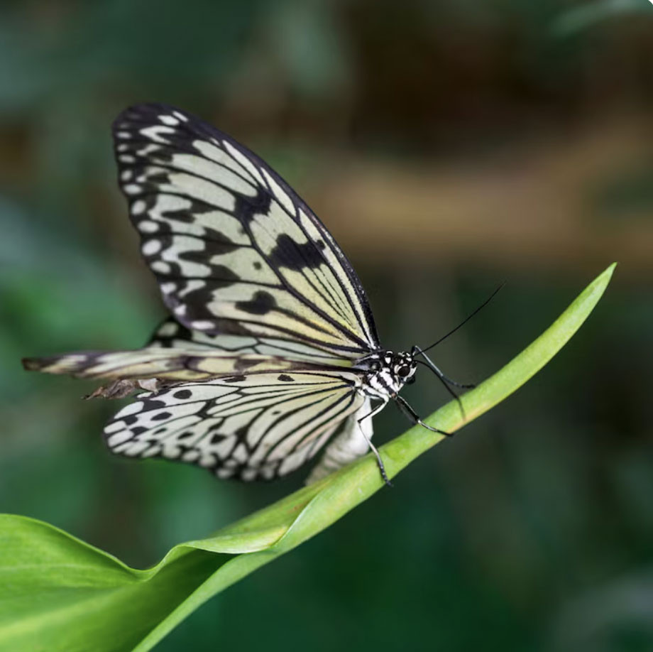 Sinh 3 tháng Âm lịch này, khó khăn mấy cũng có người kéo lên - Ảnh 3.