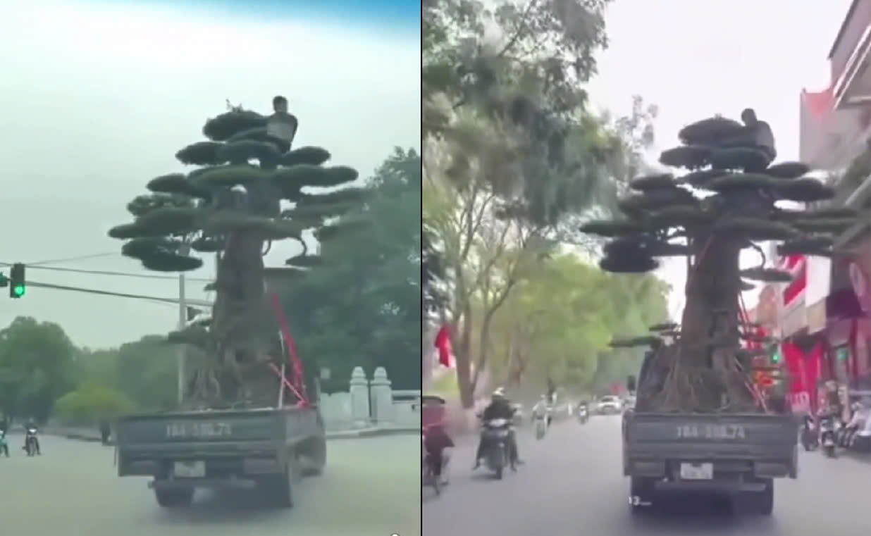 561b7a9c d2d5 4c97 b3af 392f04daf7b2.jpg