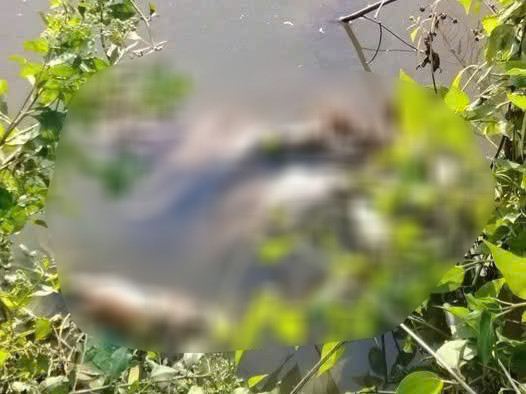 Lời khai của nghi phạm sát hại nữ sinh lớp 7 ở Cà Mau - Ảnh 1.