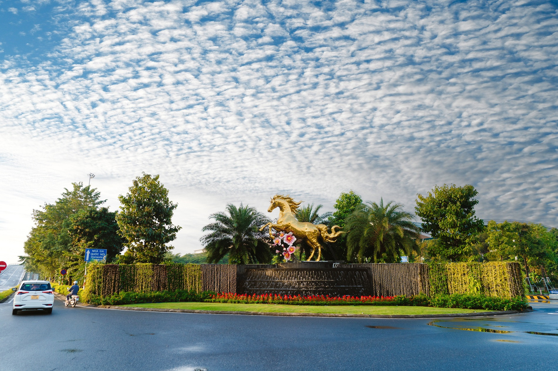 Copy of PRO04277 2 (1).jpg