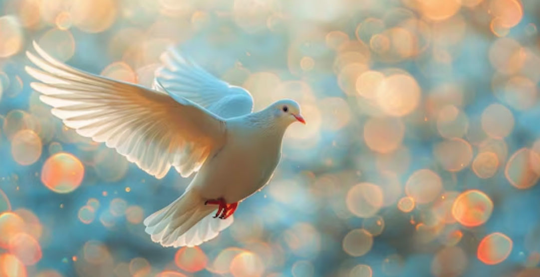 Ngày sinh Âm lịch báo hiệu phúc lành: Dù vất vả đến đâu, sau 35 tuổi cũng chạm ngõ bình yên - Ảnh 3.