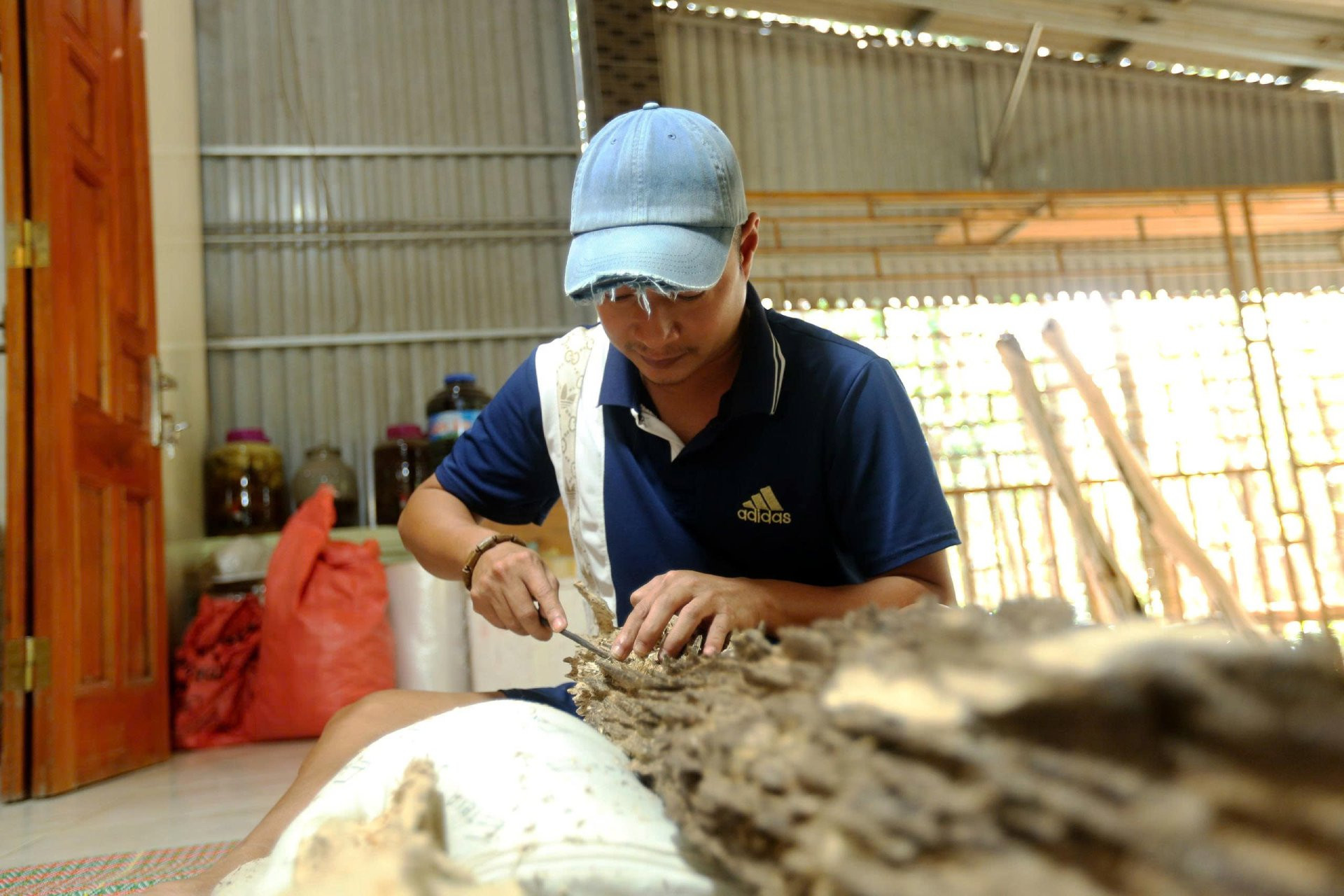 a khúc trầm1.jpg