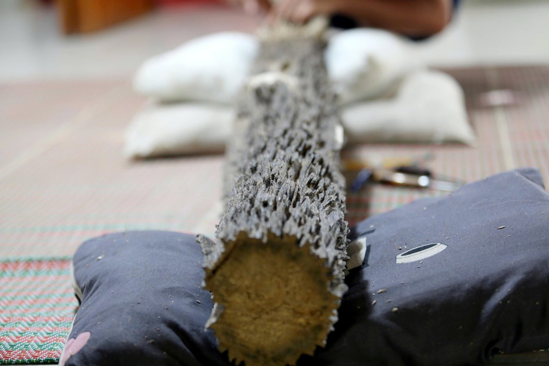 a Khúc trầm6.jpg